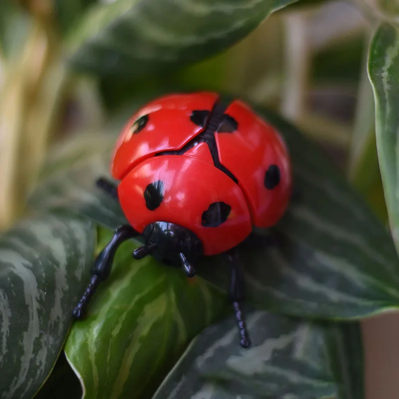 Carica Coccinella Giocattoli bionici Scherzo creativo Giocattolo di insetti animati Modello Animali di plastica per bambini Scarabeo Scarabeo Giocattolo di carica