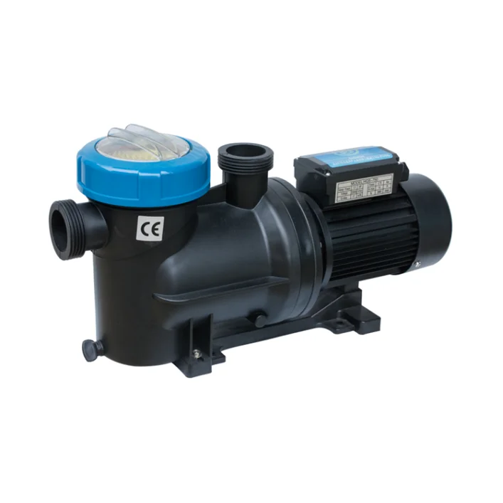 China italian High Quality Swimming Pool Hot Water Pump wholesale