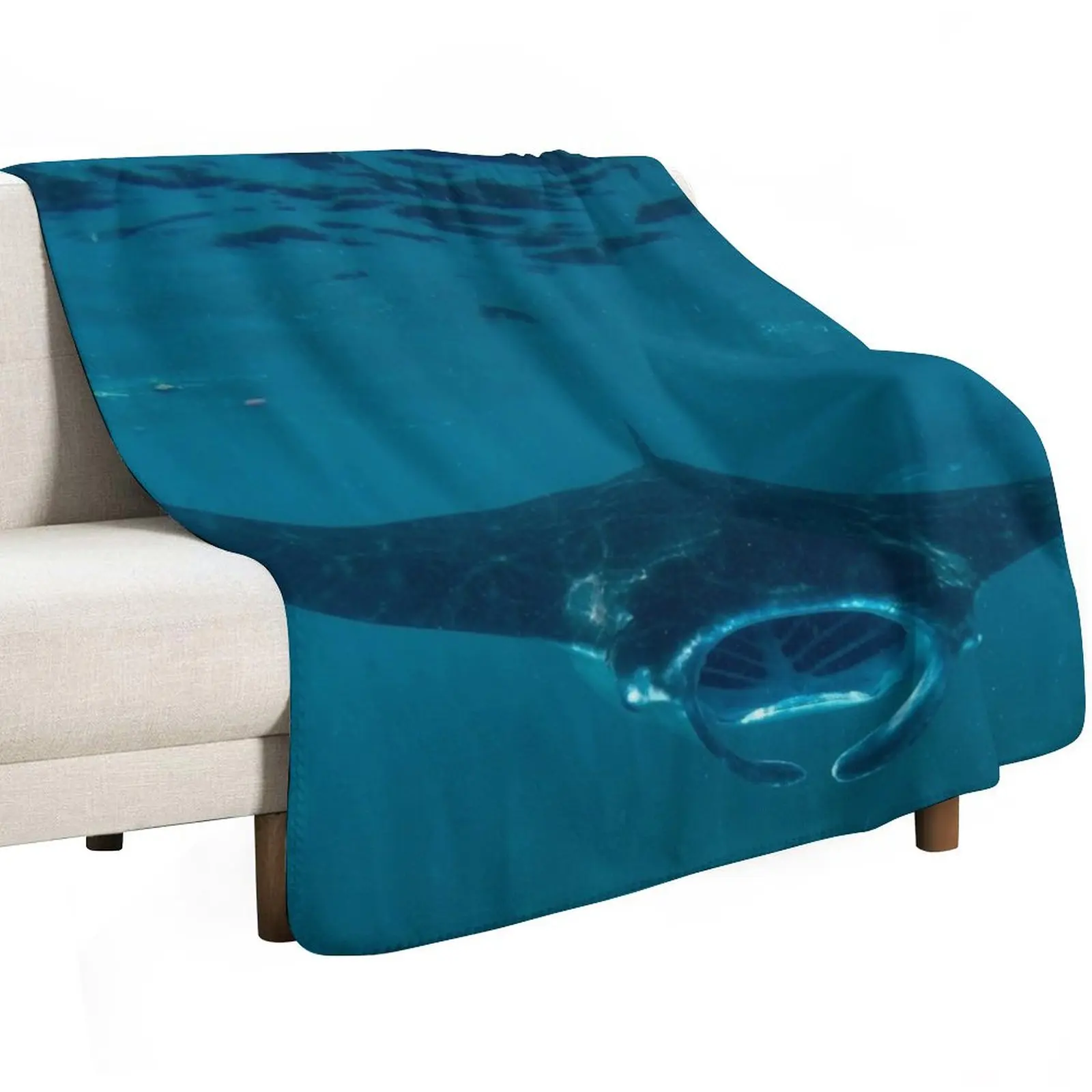 Curious Manta Ray At Crystal Bay Nusa Penida Bali Throw Blanket Luxurious Soft Fuzzy Blanket for Sofa Bed
