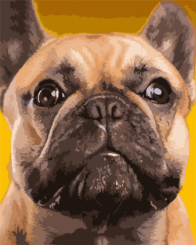 GATYZTORY Hund 40x50cm malen Nach Zahlen DIY Bild Farbe Öl Handgemalte für Erwachsene Handwerk Handarbeit Kunst