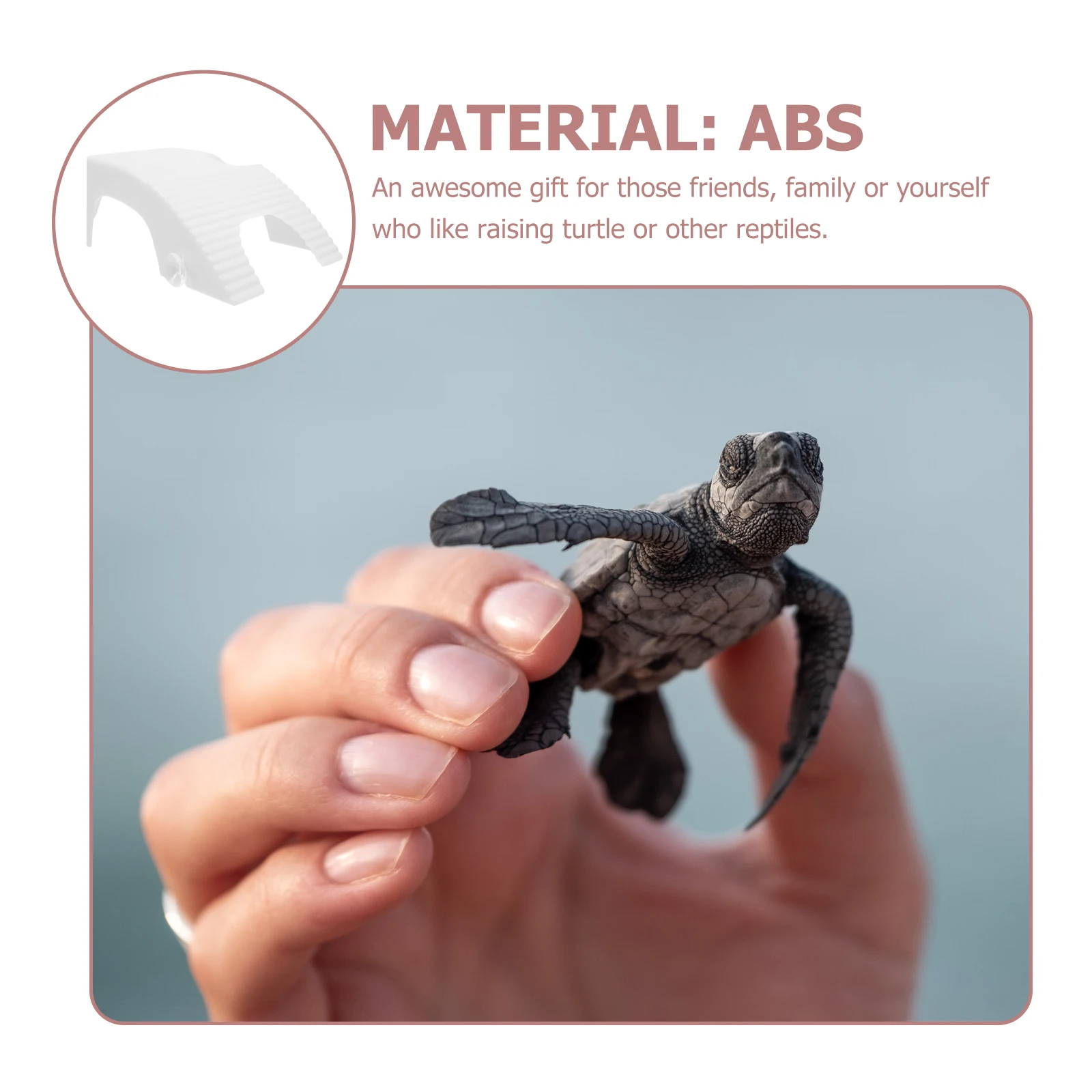 

Turtle Basking Platform Abs Reptile Climbing Stone Turtle Exercise Resting Perch Tortoise Floating Platform