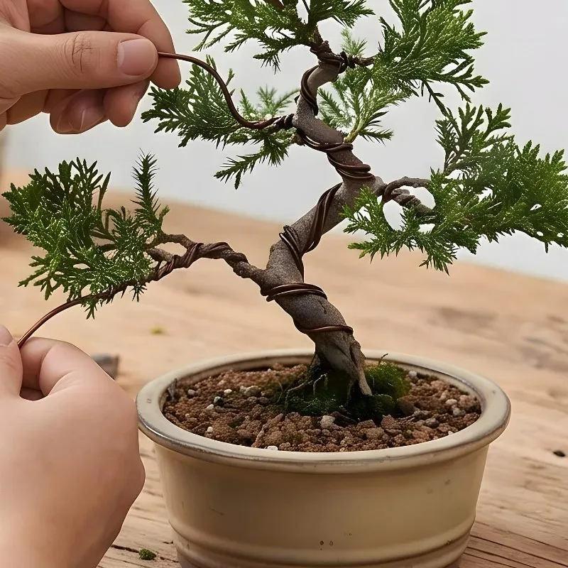 5/100M Bonsai Aluminum Wire Black Brown Silver Bendable Flexible Support Wires Garden Potted Fixed Ornament Shaping Tools