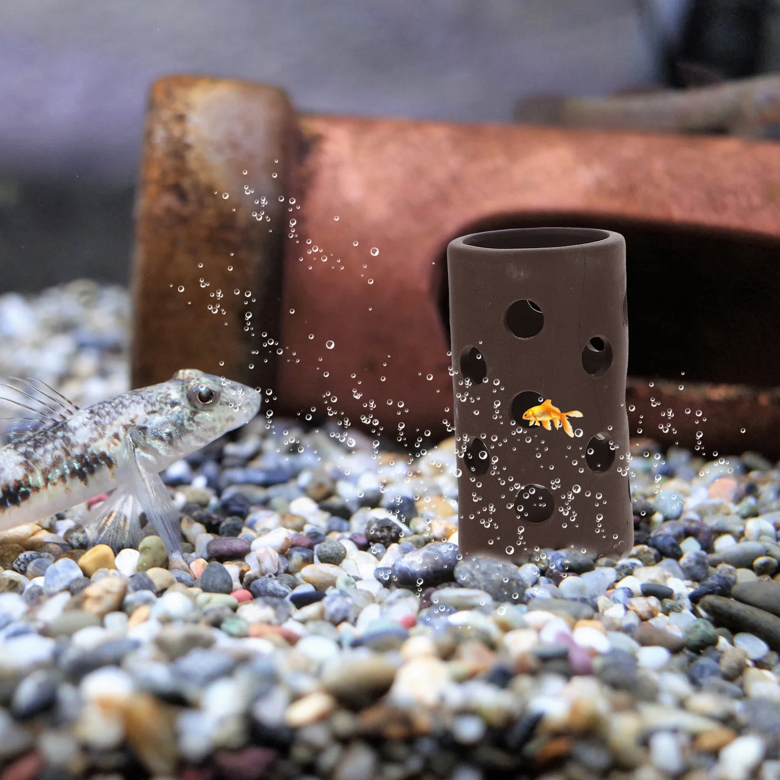 

2Pcs Exquisite Fish Tank Cave Compact Design Wear-Resistant Aquarium Decor Shrimp Hideout Natural Look Long-Lasting