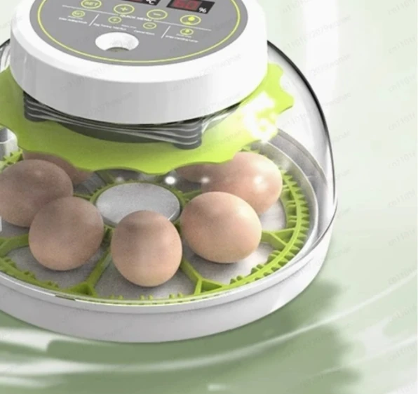 Small Household Fully Automatic Intelligent Incubator | Flying Saucer Design for Parrot, Pigeon & Bird Eggs view 2