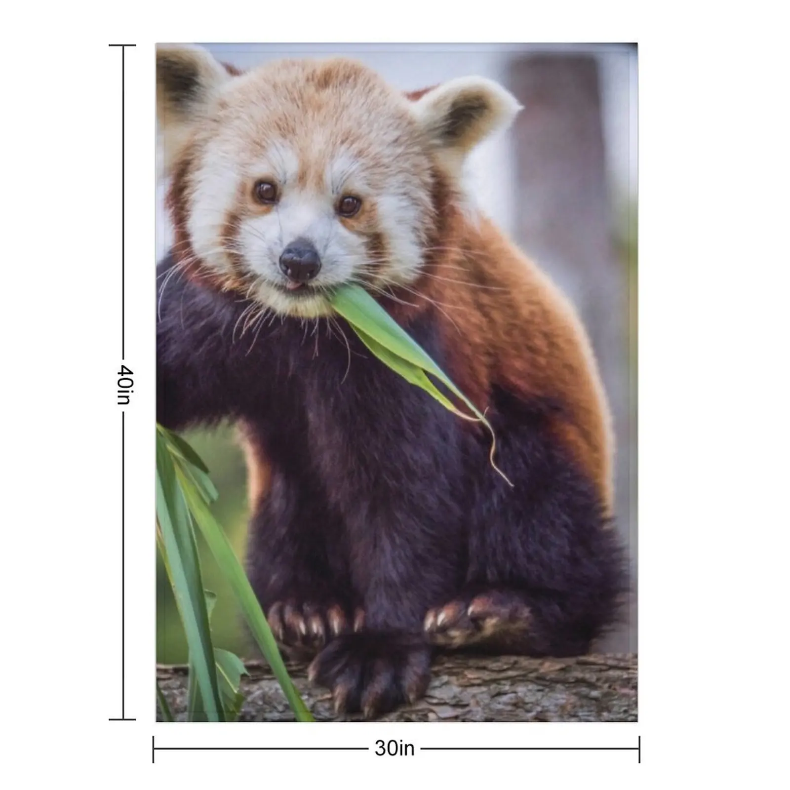 Red Panda Throw Blanket Thin Multi-Purpose Luxury Brand christmas gifts Blankets
