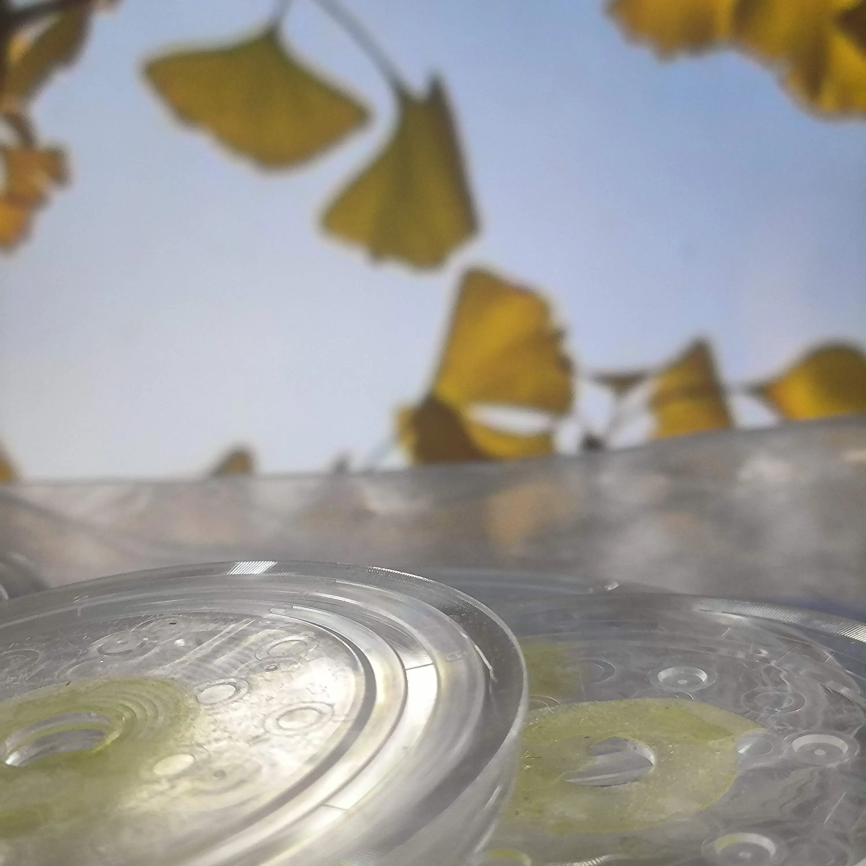 

10X диск синхронизации энкодера для EPSON L1110 L3110 L3115 L3116 L3150 L3156 L5190 M1100 M1120