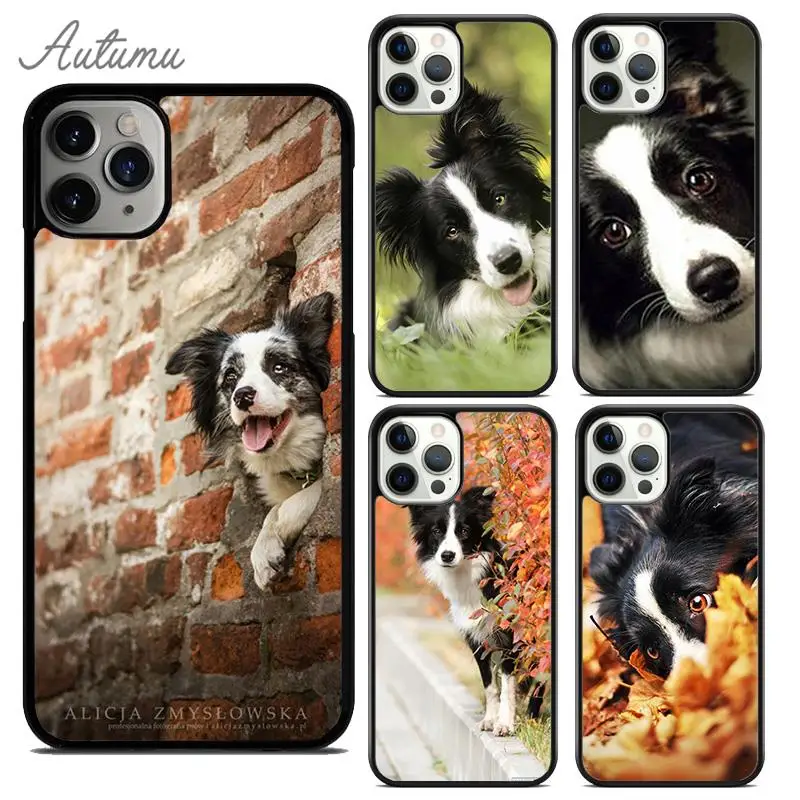 Cute Border collie dog pet Phone Case for iPhone 15 16 SE2020 11 12 13 14 Pro Max mini 6 7 8 Plus Cover coque Fundas Shell