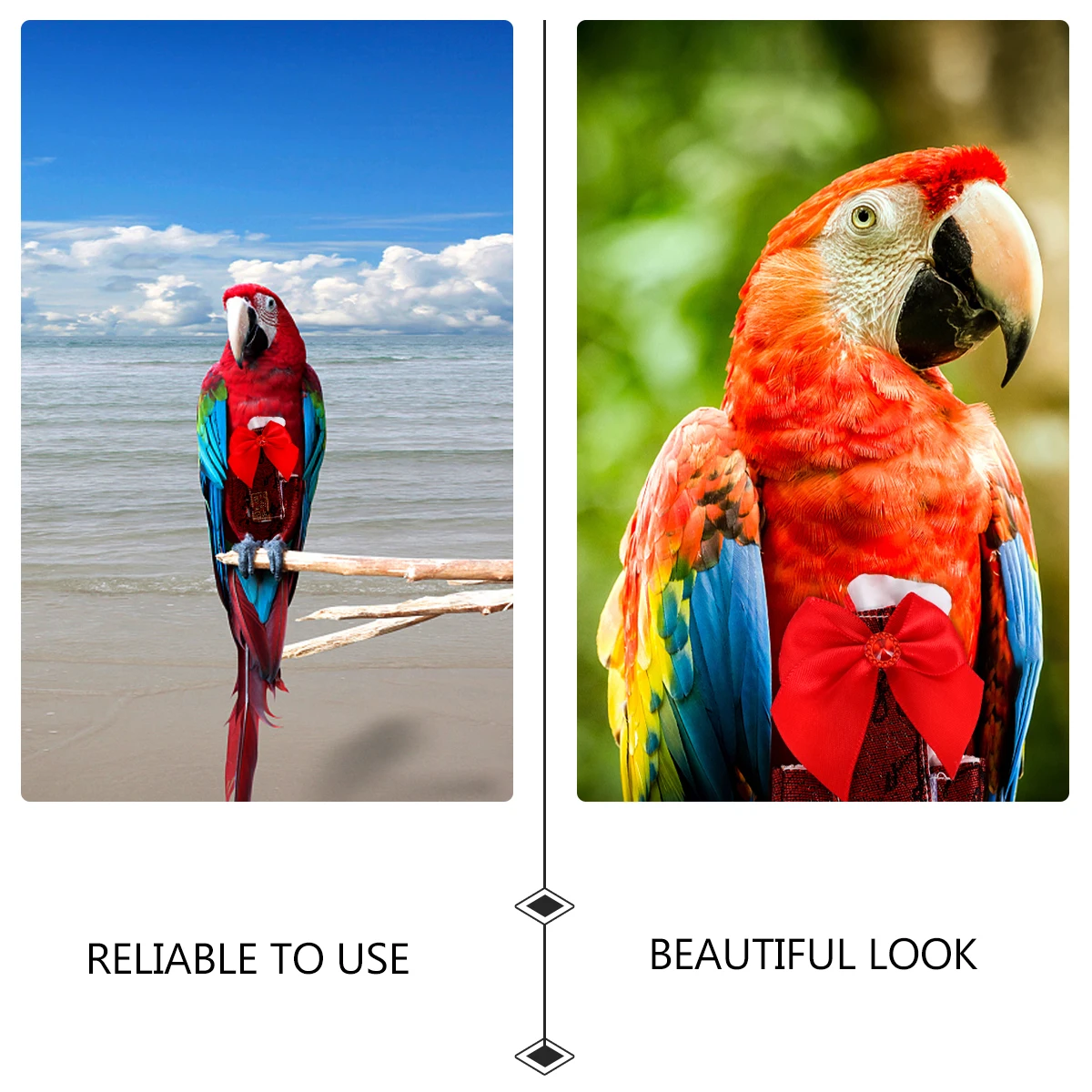 

1pc Parrot Flight Suit Diaper Reusable Cotton Diapers Waterproof Leakproof Soft Absorbent For Travel Cage Pet Bird Clothes Bird
