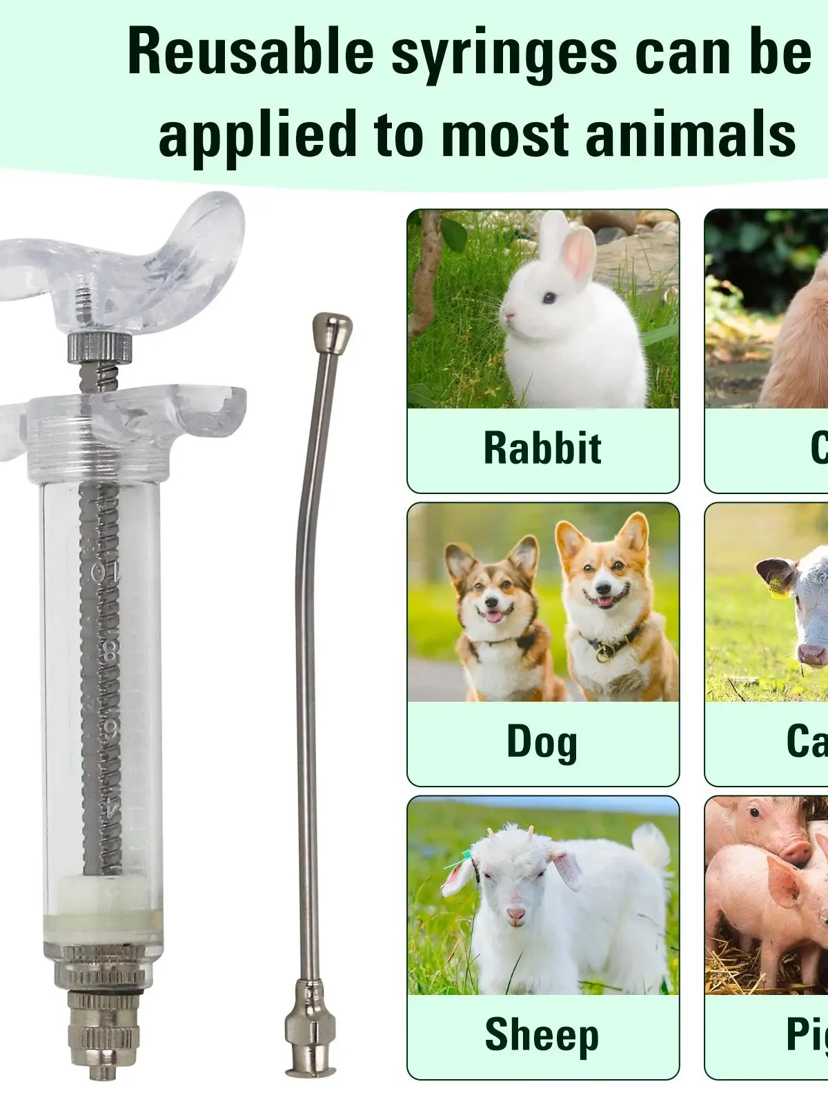1PC Spuit met roestvrijstalen voedingsbuis Elleboognaald voor muizen/papegaaien/vogels/gevogelte/kat/hond kleine dieren voedingshulpmiddel - afbeelding 2