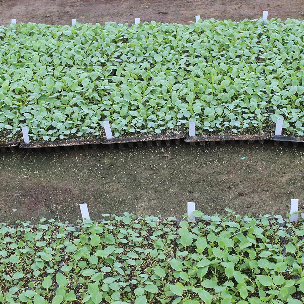 100 шт. пластиковые этикетки для растений, садовые бирки, колья, многоразовые маркеры для растений