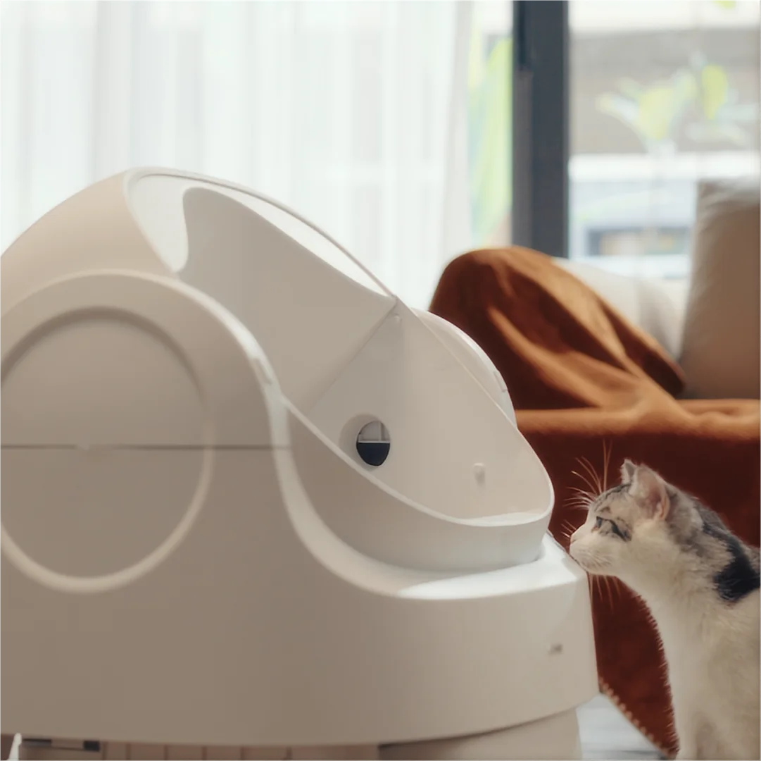 

Best Selling Large Cat Toilet Automatic Cat Litter Box Smart Self Cleaning Cat Litter Box