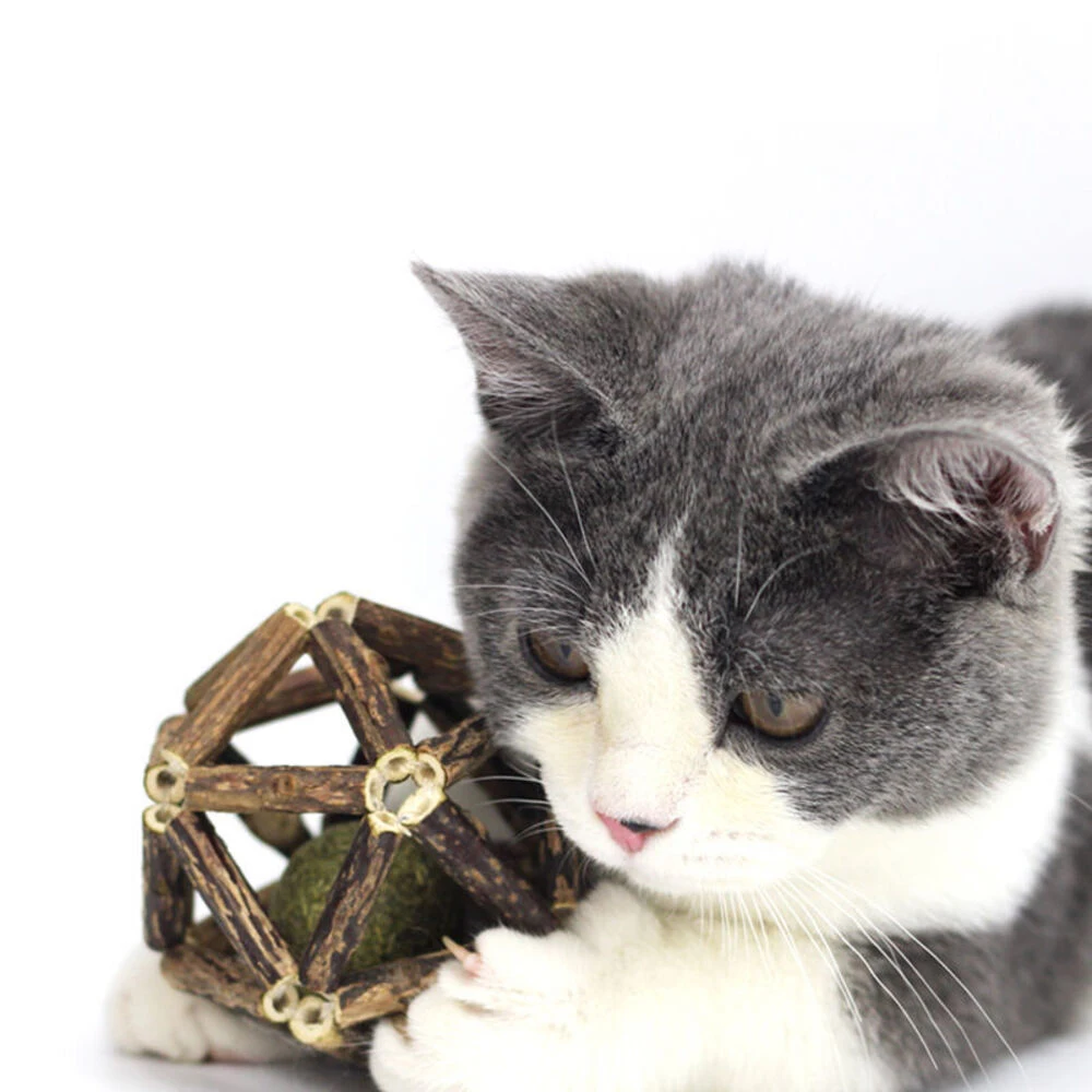 Catnip Exquisite Ball Bell Ball Cat Toy Self-Entertainment Cat Teaser Stick Teething Stick Cat Toy Supplies