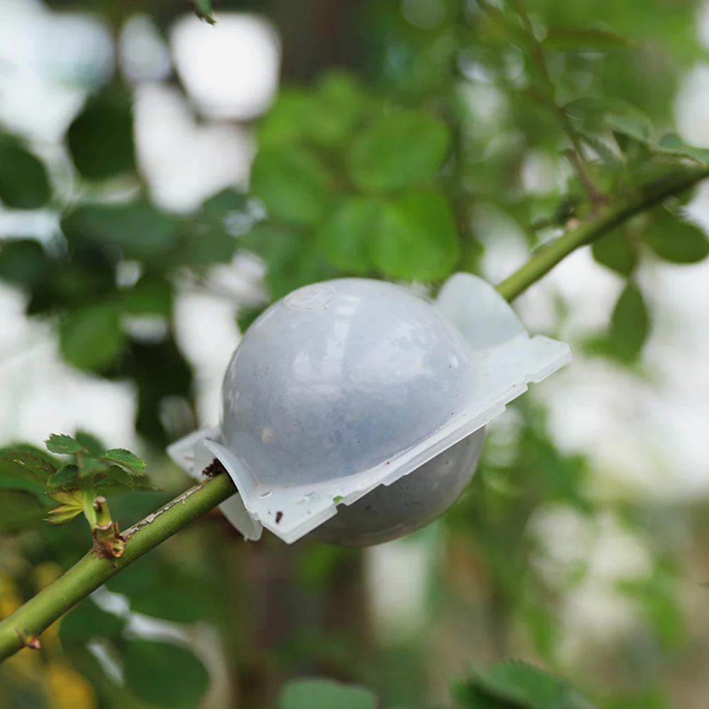 Incubatore a sfera per radicazione di piante da giardino incubatore ad alta pressione albero innestato radicazione piantina coltivazione palla