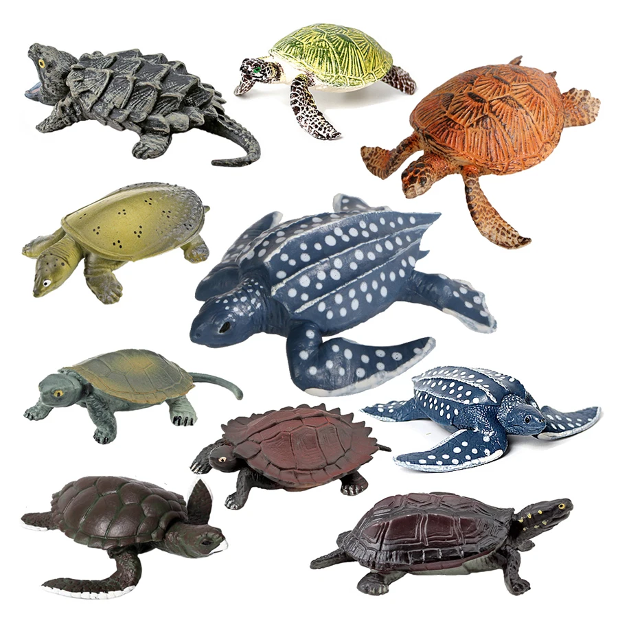 Animales marinos tortuga juguete terrapin tortuga figuras de vida marina figura de acción figuras de animales juguetes para niños regalos Montessori para niños