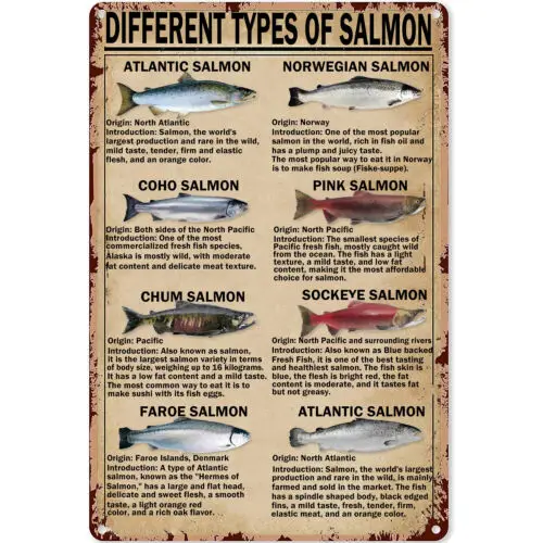 Retro Tin Signs Vintage Different Types of Salmon Metal Signs Poster Wall Decor