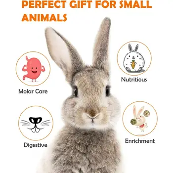 8 best sales ネズミのおもちゃ - №5