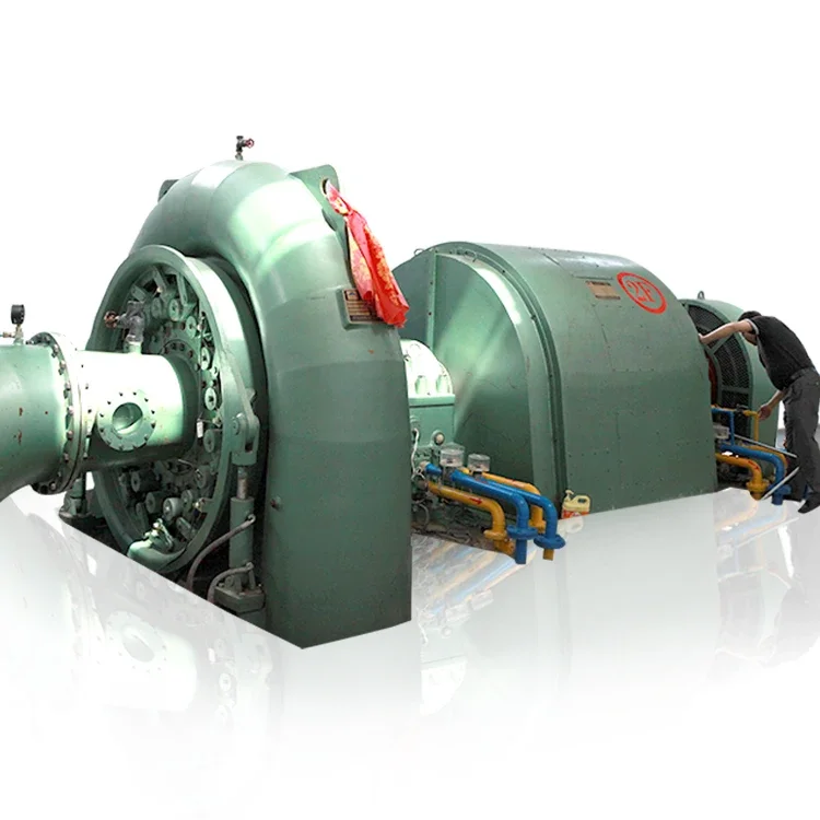 

Mini Hydro Station 1 Mw Hydroelectric Generator