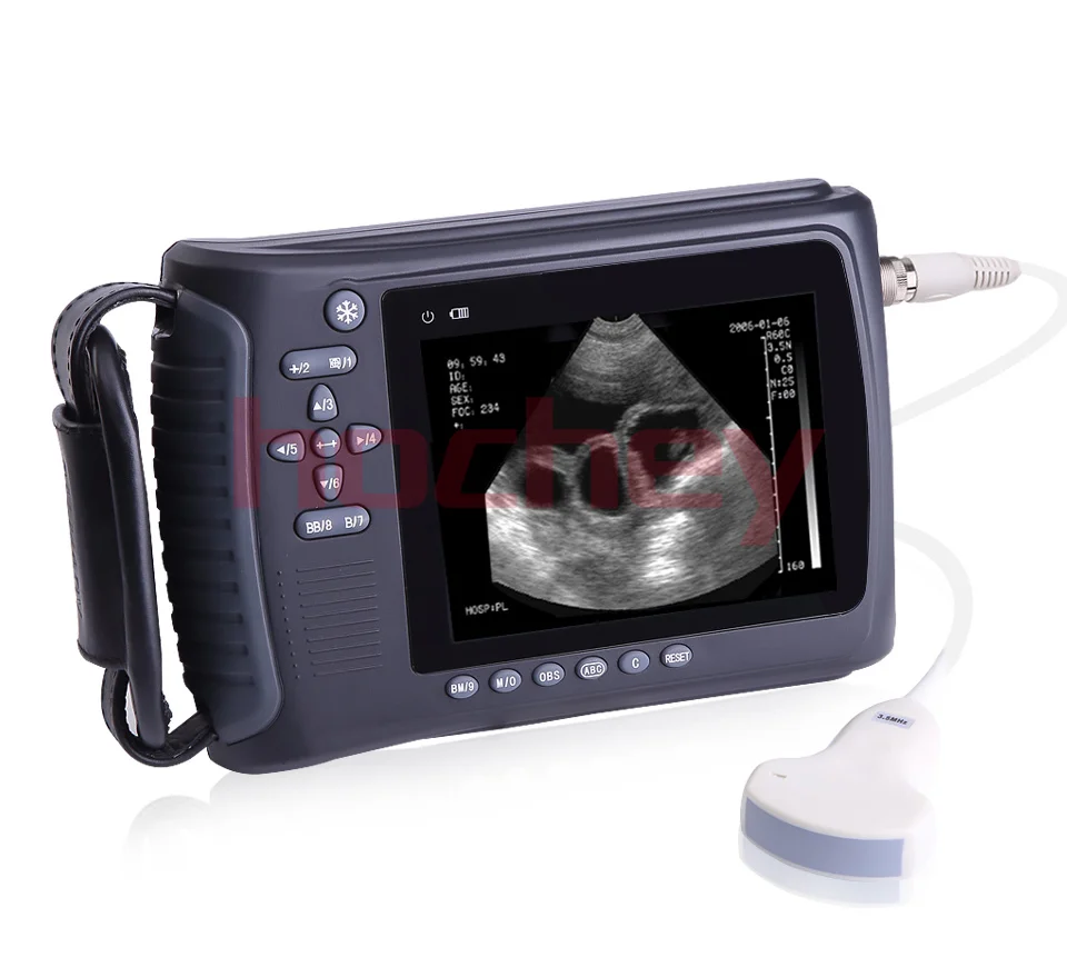 

MT Mdeical Veterinary Ultrasound Machine Veterinary Ultrasound Instrument . detection farm animal husbandry