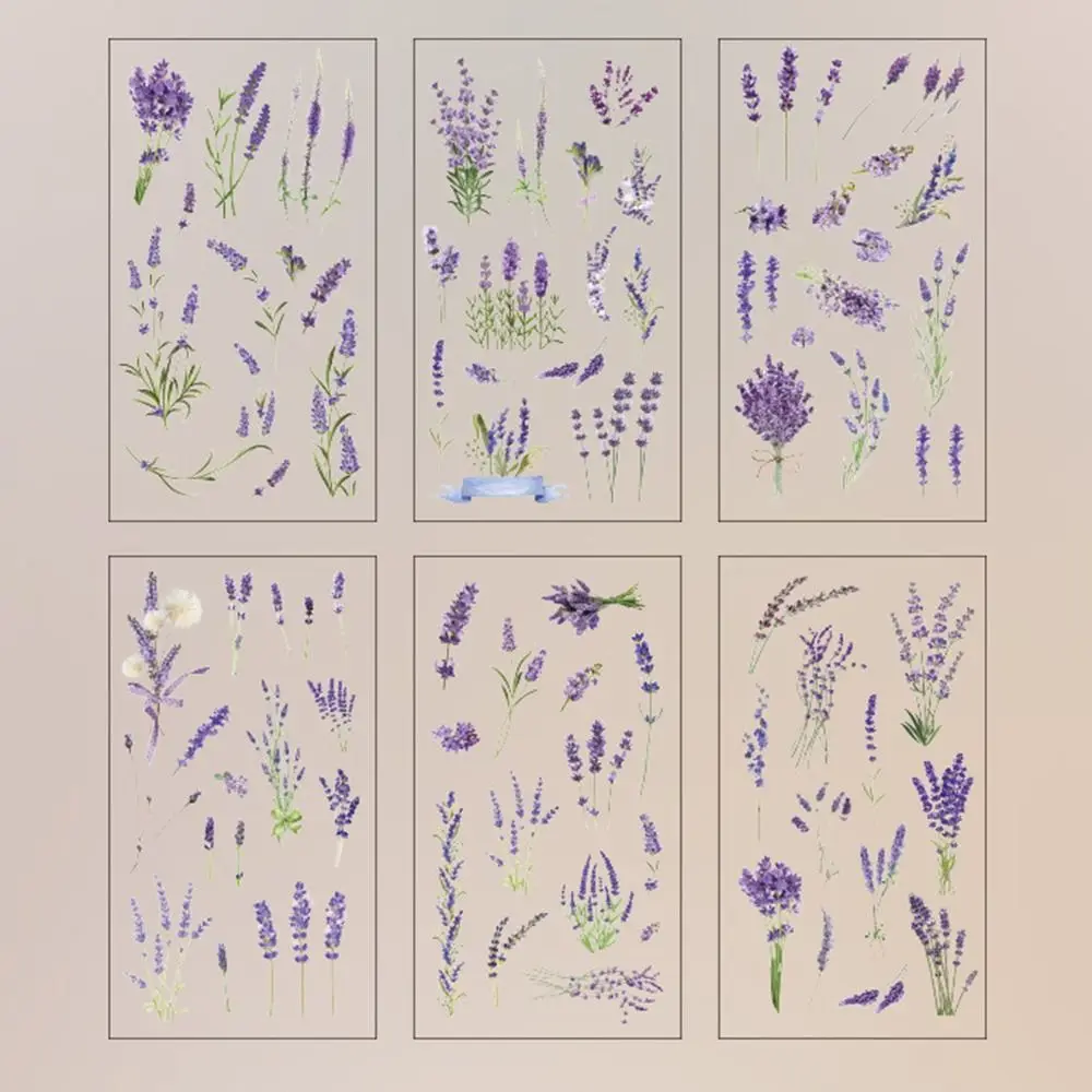 Why Vintage Clear Pet Waterproof Stickers Are the Ultimate Choice for ...