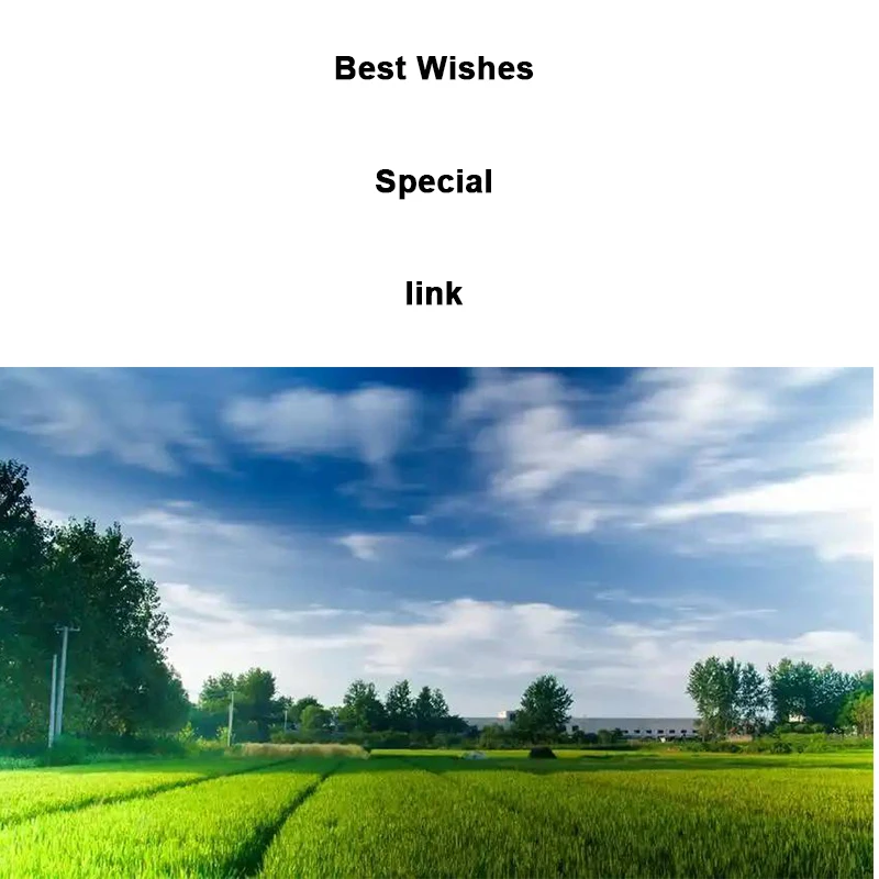 Special Link for Pentel Super Multi-Function Pen Multi8 Colored Mechanical Pencil
