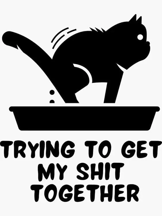 Trying To Get My Shit Together Retro Metal Tin Sign Vintage Aluminum Sign for Home Coffee Wall Decor -aluminum