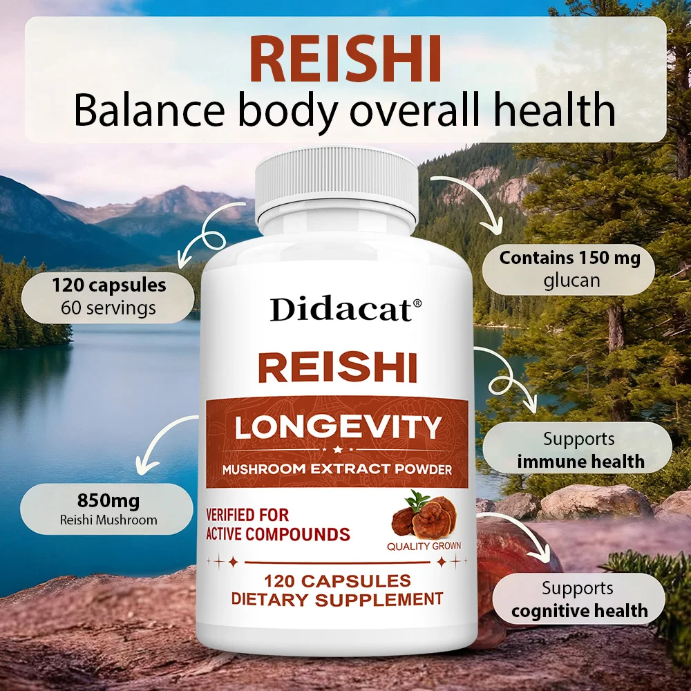 كبسولات مستخلص ريشي - تعزز الطاقة والقدرة على التحمل، وتعزز الذاكرة والتركيز، وتحسين النوم وتخفيف التوتر #3
