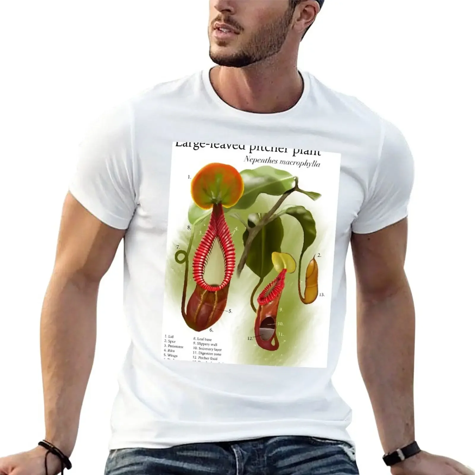 Nepenthes macrophylla T-Shirt Aesthetic clothing hippie clothes men clothes