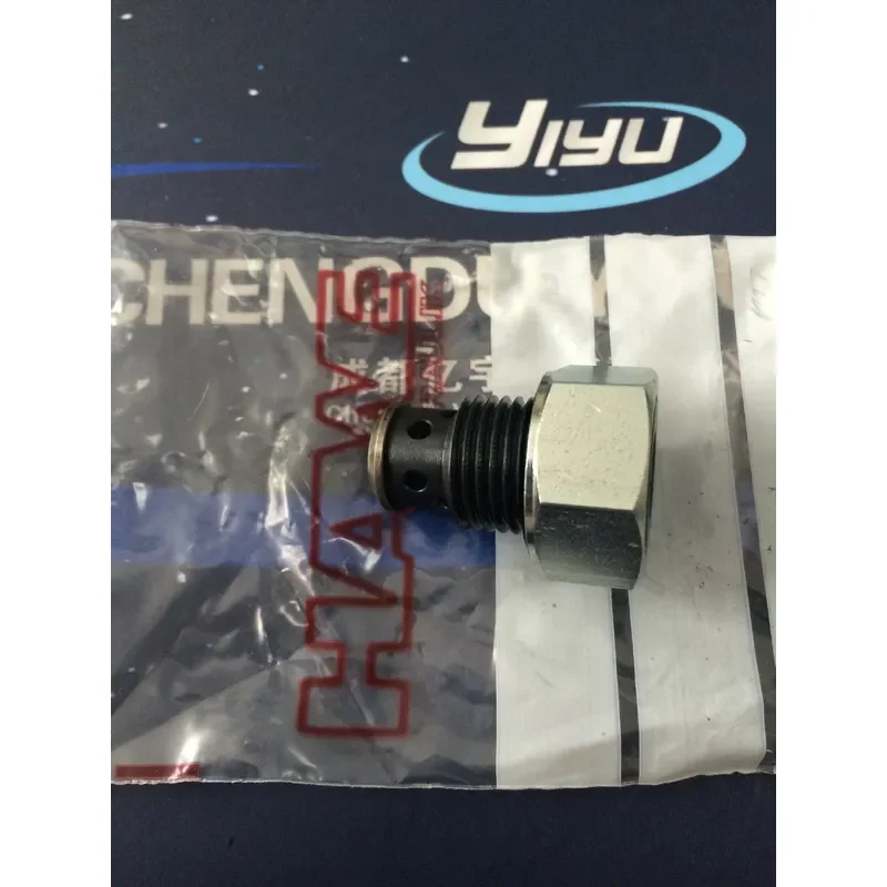 2026 Hot Item HAWE CRK1 spot HAWE check valve