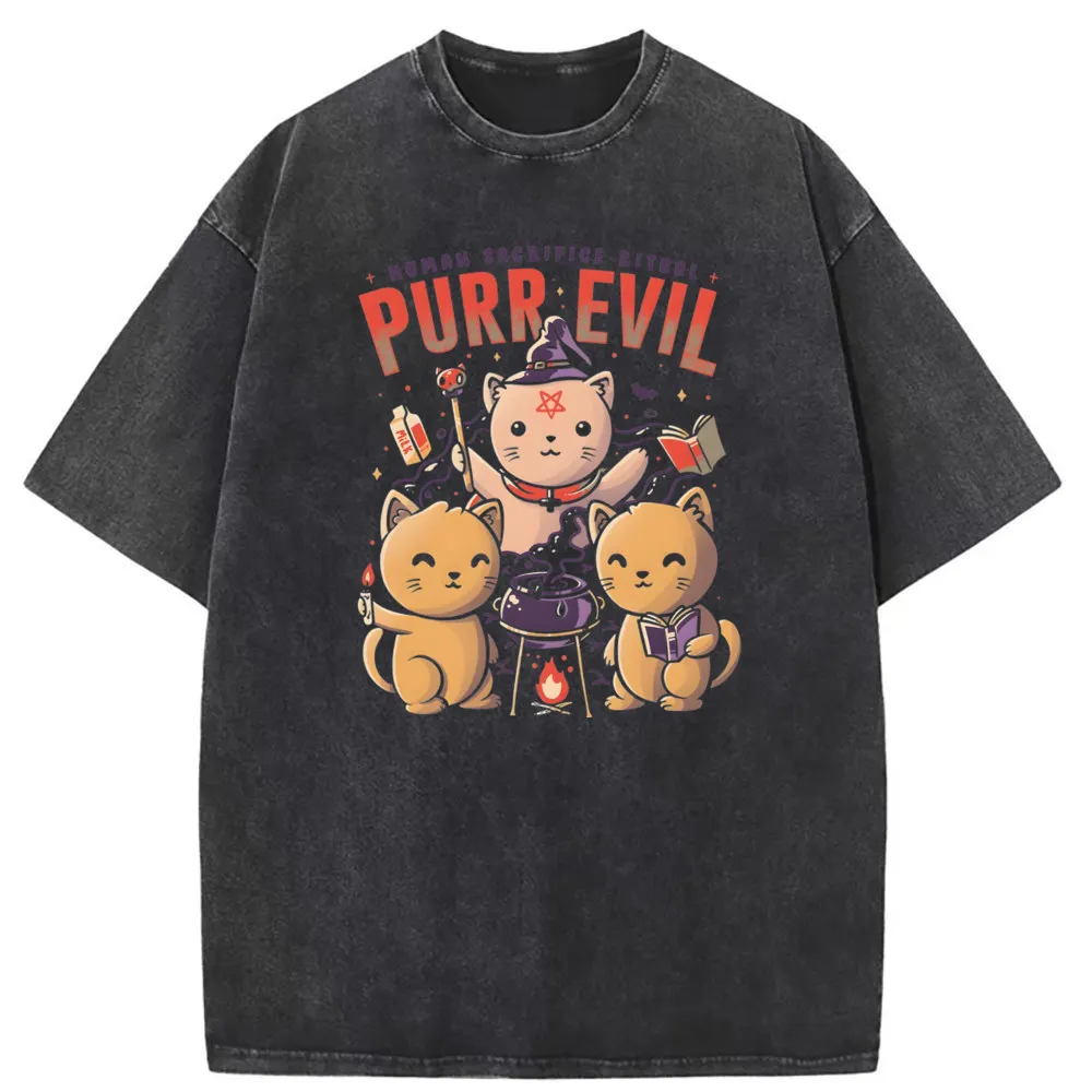 Purr Evil Cat Prevalent T Shirt Men  Preppy Style Washed Tshirt Sweatshirts Long Sleeve Comfortable Sportswears Kawaii T Shirts