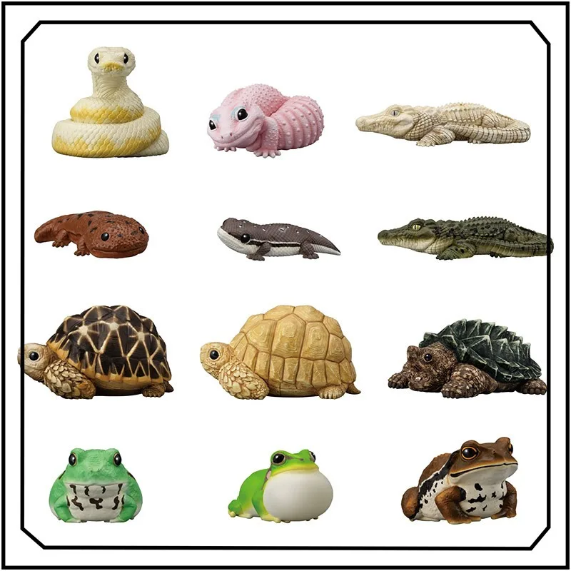 

Bandai Mobile Cute Friends EX CASHAPON Tortoise Horned Frog Cute Collectible Toys