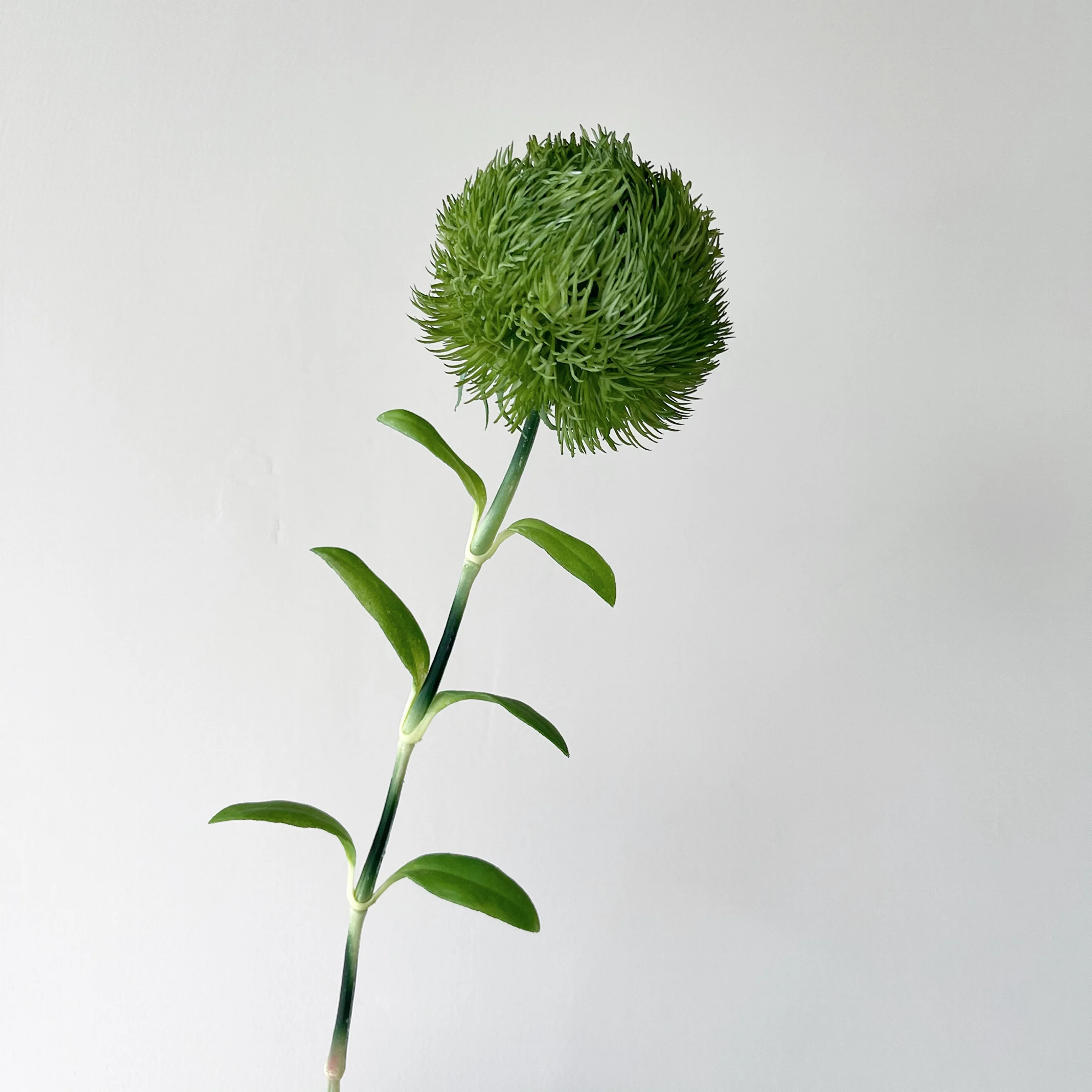 Green Dianthus Artificial Plants Plastic Greenery Green Ball Dianthus Decoration Home Interior Greenery