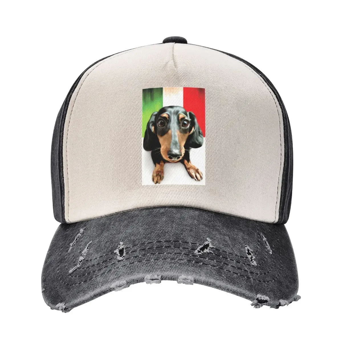 Bella the Playful Dachshund - Pet Dog Commission 05Cap Baseball Cap Snap Back Hat Golf Hat Man Women's Beach Outlet Men's