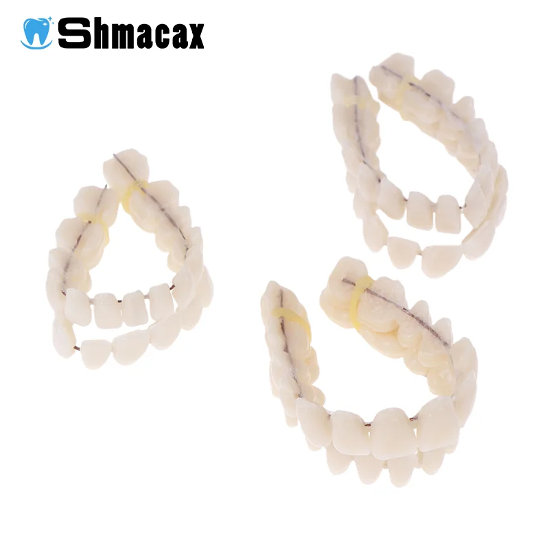 Boxed Resin Denture Upper Lower Teeth Full Mouth S/M/L Size Preformed Dentition Oral Care Teaching Model