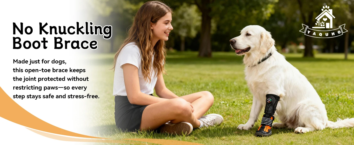 boots for dogs to protect feet