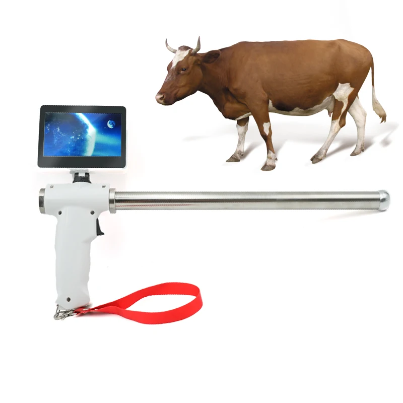 

Artificial Insemination Gun Cow Visual Endoscope Sperm AI Gun Endoscope Artificial Insemination Gun