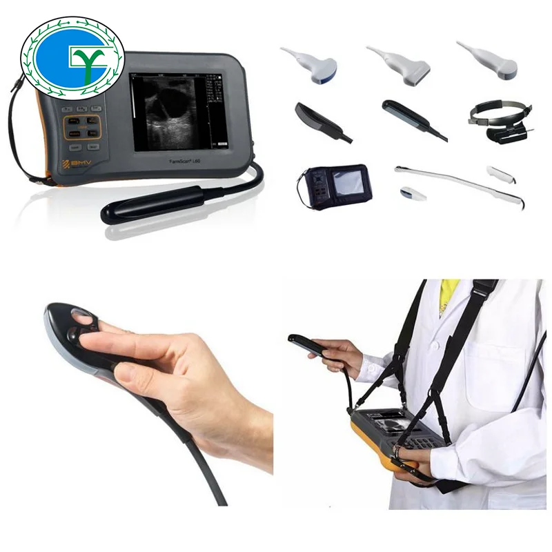 

BMV handheld veterinary ultrasound portable ecografo unilever farmscan l60 veterinary ultrasound veterinary