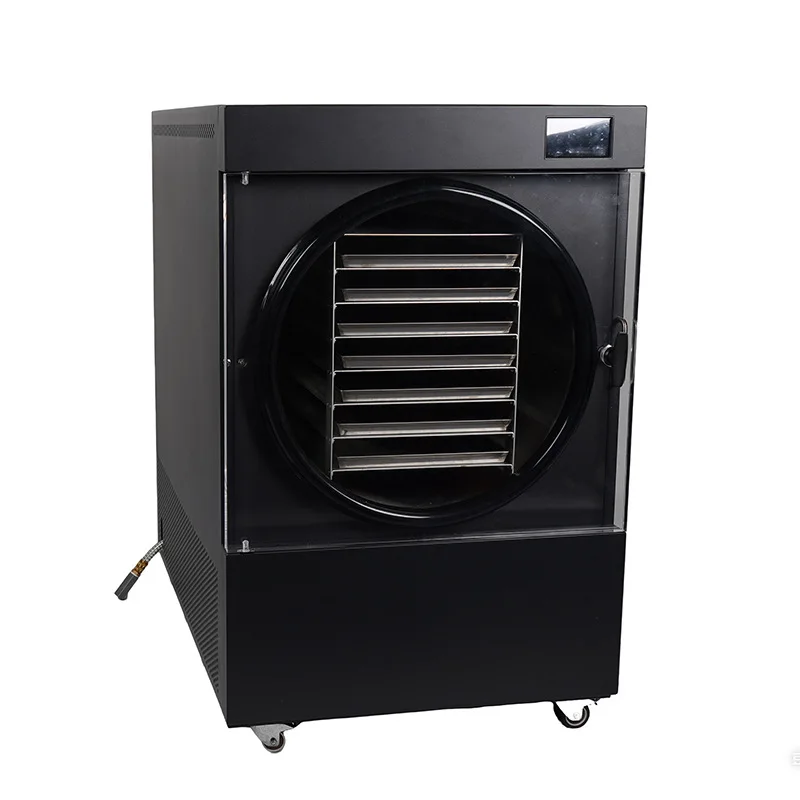 Customizable Small Vacuum Machine Home Use, Silent Energy-Saving, For Quick Freeze-Drying Of Fruits, Vegetables, And Meat To