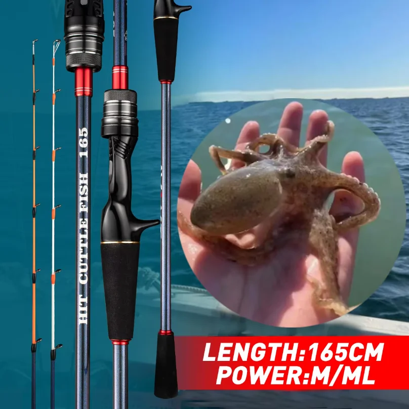 Fishing Rod Carbon Fiber - Tintenfisch-Angelrute mit Köder 20-80g/40-120g ML/M Spitzen