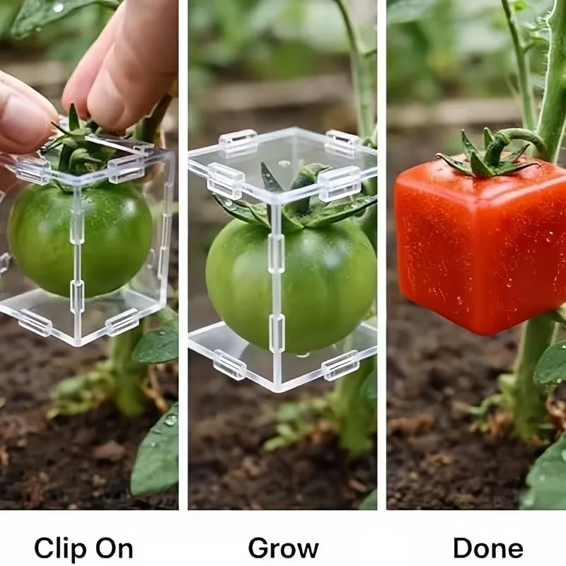 Molds for Cultivating Uniquely Shaped Fruits - Designed to Create Distinctive Shapes for a Variety of Fruits, Including Strawber