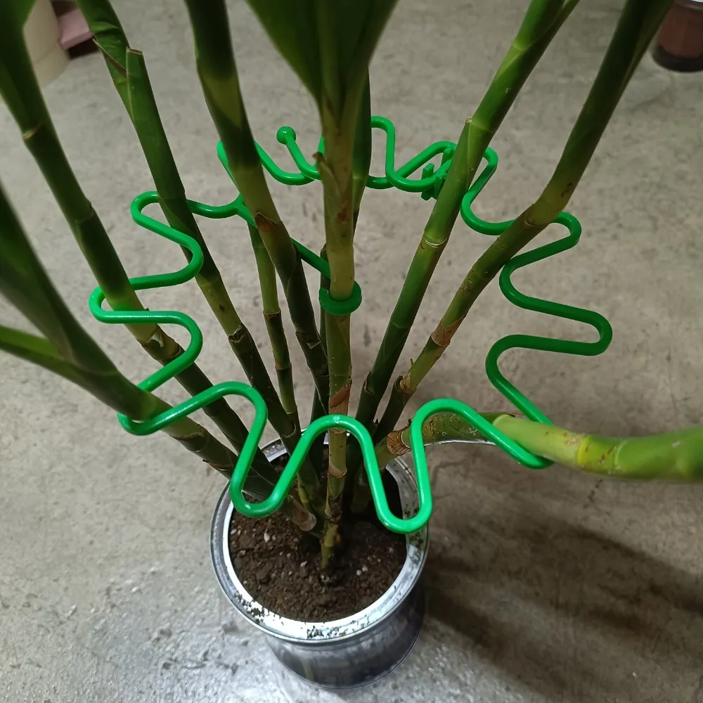 Round Edge Adjustable Plant Stem Support Lodging-resistant with Hook Flower Climbing Stem Holder ABS Vine Branch Hooks