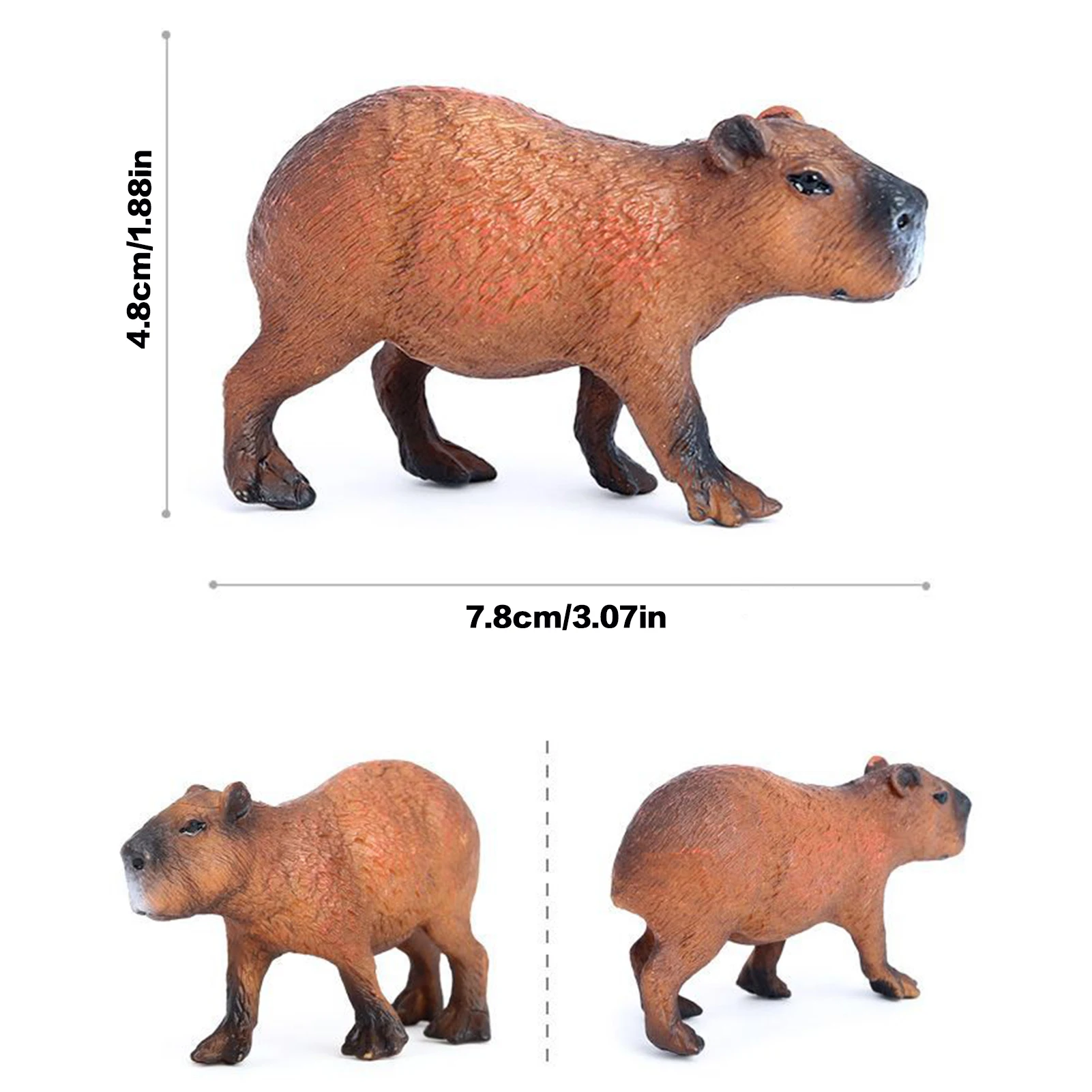 Simulation Capybara Figures Ornaments Lovely Educational Wildlife Animals Model Toy for Kids Scientific Cognitive Toys