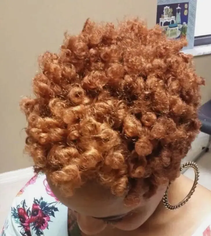 Peruca Curta Curly para Mulher, Afro Sintético, Perucas Marrons