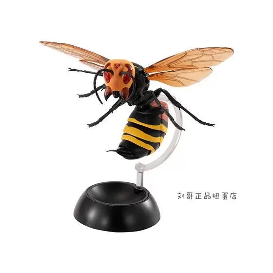 Genuine Popularity Gacha Biographical Analysis of Wasp 02 Vespa Mandarinia Vespidae Joint Mobility Action Figure Model Toys