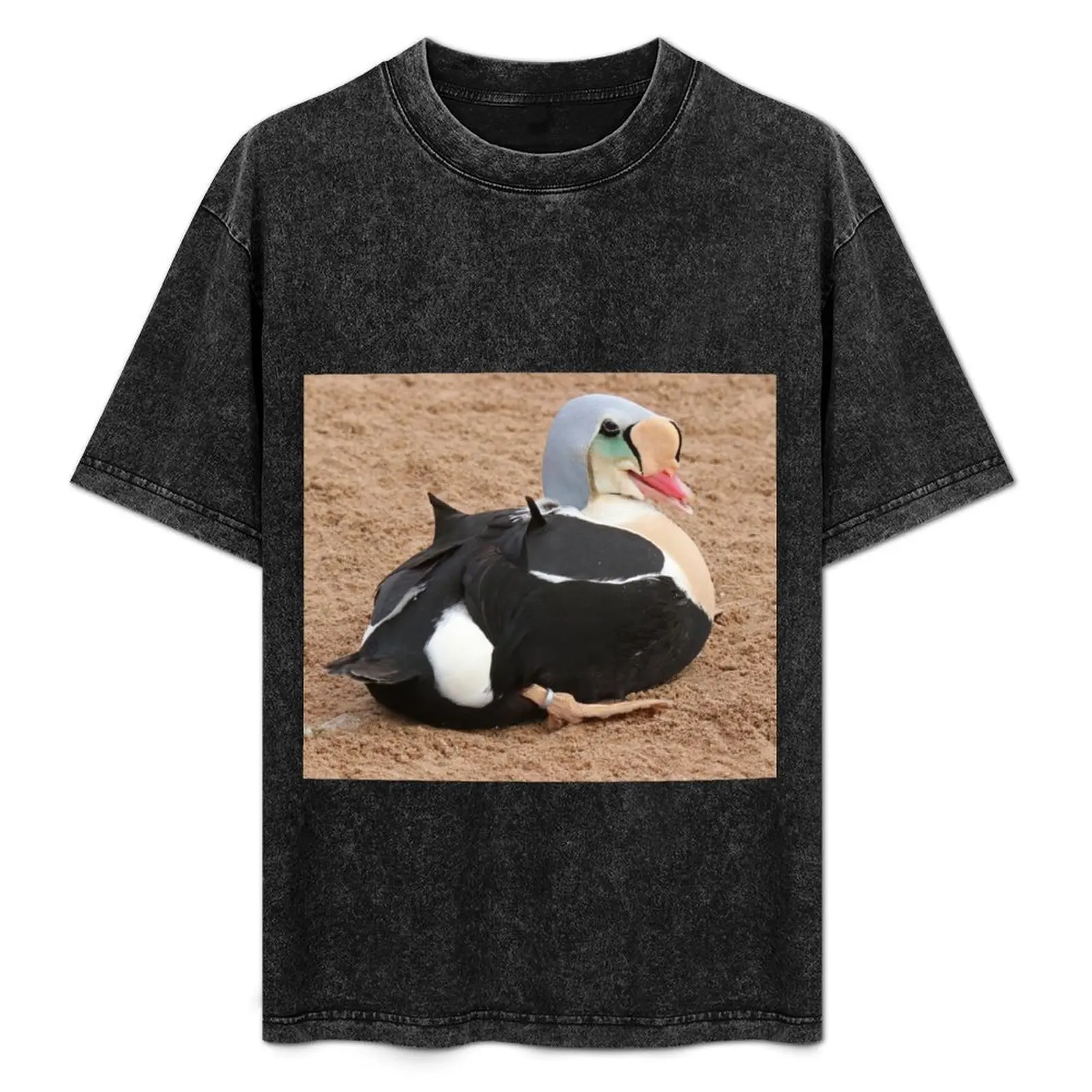Camiseta King Eider de algodón suave y básico de manga corta