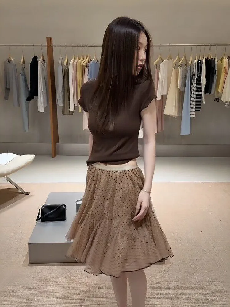 

Korean Style round Neck Short Sleeve T-Shirt Mesh Paneling Polka Dot Skirt Two-Piece Set Women Spring Summer Outfit