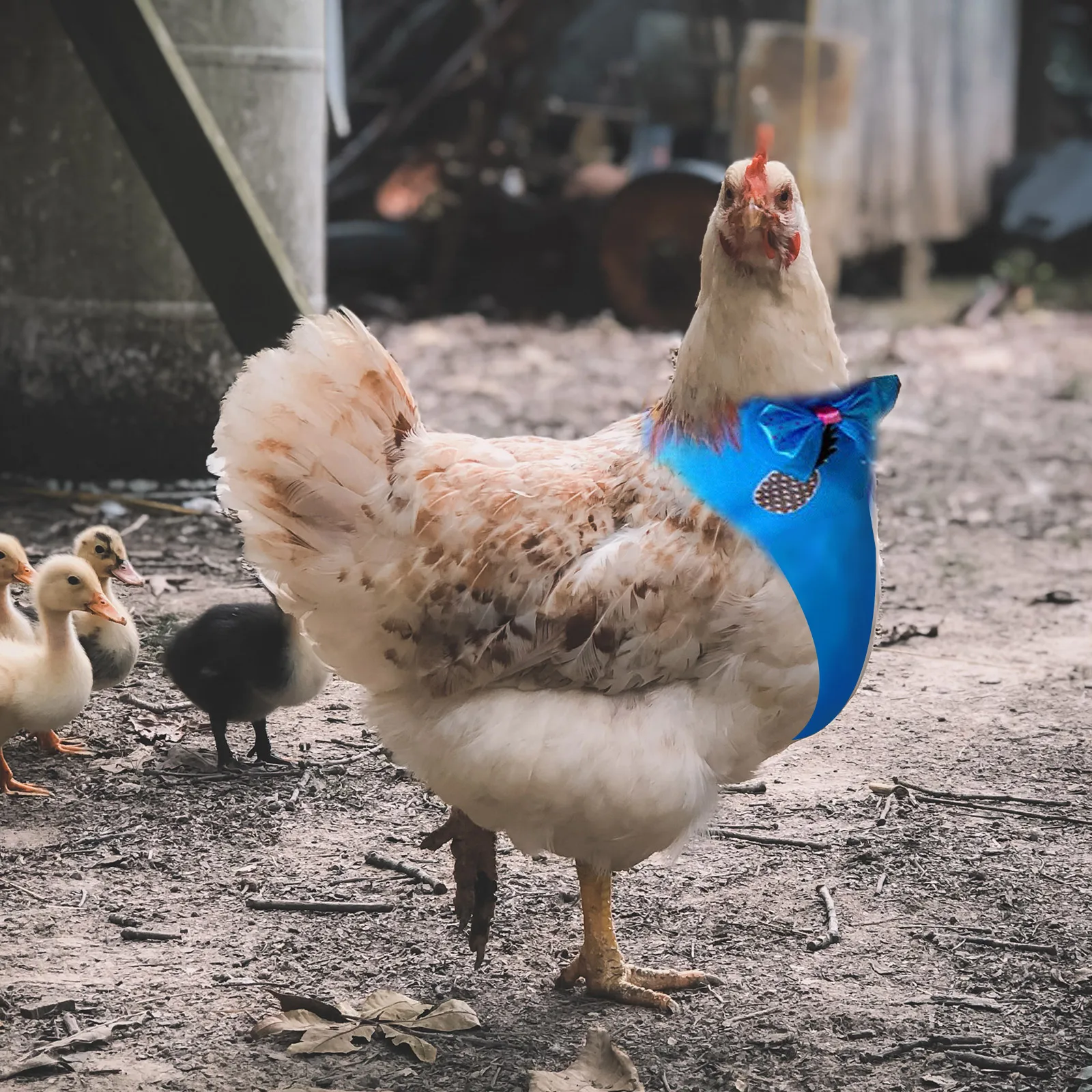 

Chicken Vest Harness Accessories Rope Leash Hen Pulling Adorable Rooster Costume Durable Belt Pet Chicken Costume Adjustable
