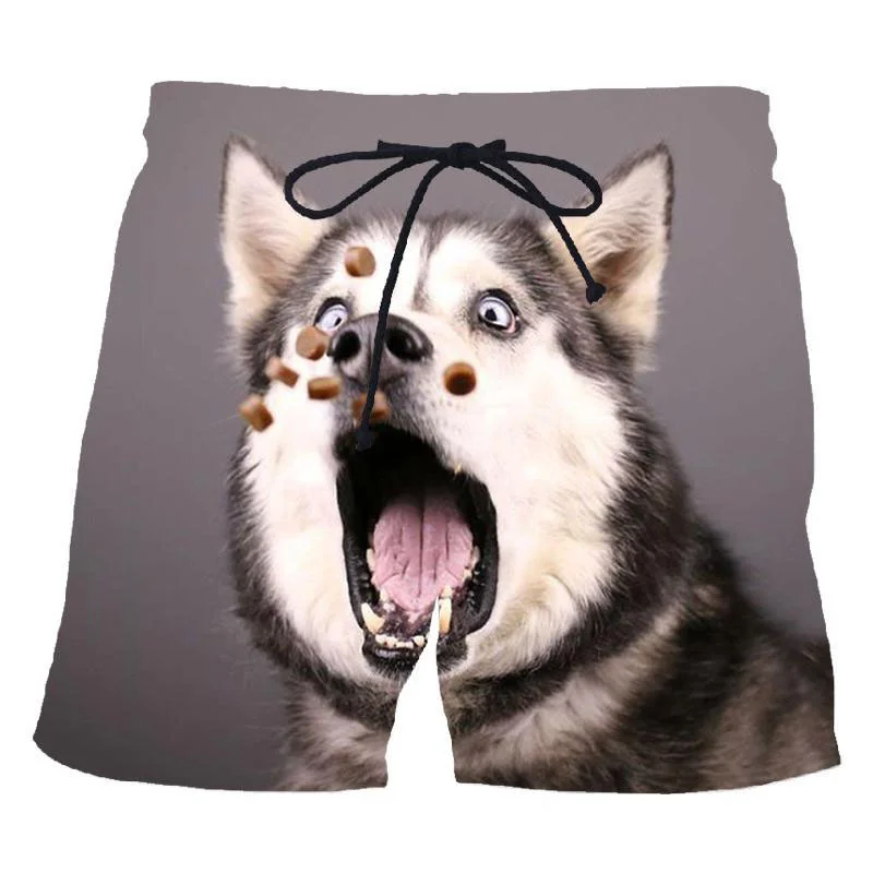 3D Print Siberian Husky Beach Shorts For Men Cute Animal Dog Street Short Pants Casual Summer Oversized Cool Swimming Trunks