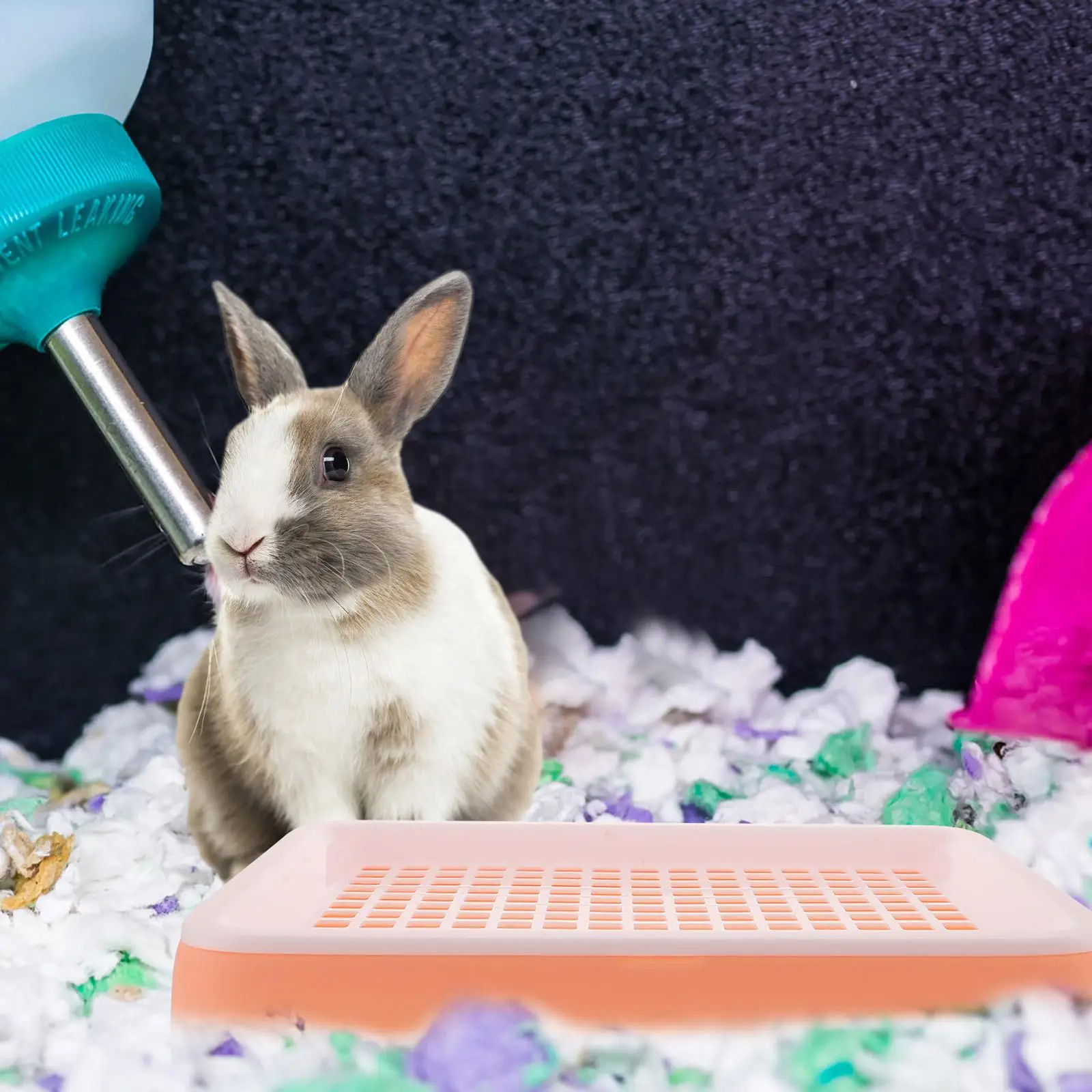 

Toys Pet Cleaning Supplies Zwergkaninchen Toilette Kleintier Lining Kaninchenstreu Bunny Pink Kaninchensand