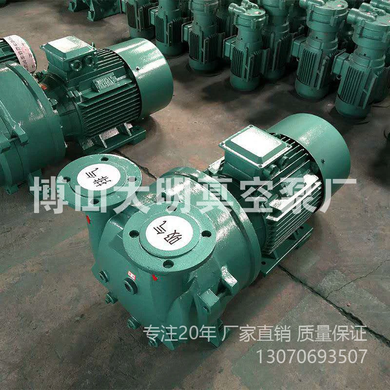 Cast iron stainless steel water ring vacuum pump 2BV5110/5111/2BV5121/5131/5161