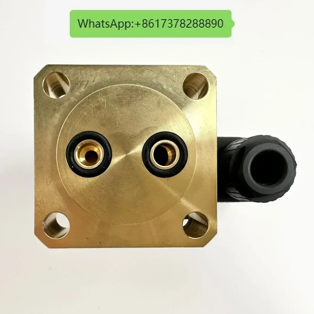 Brass high pressure solenoid valve for snowmaking machine